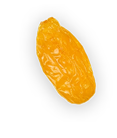 Raisin